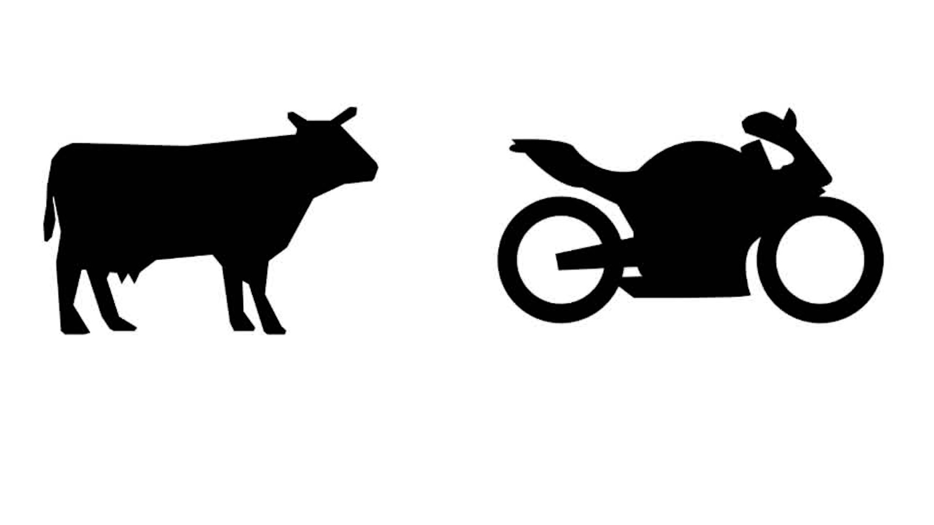 Choques con animales triplican riesgo de muerte