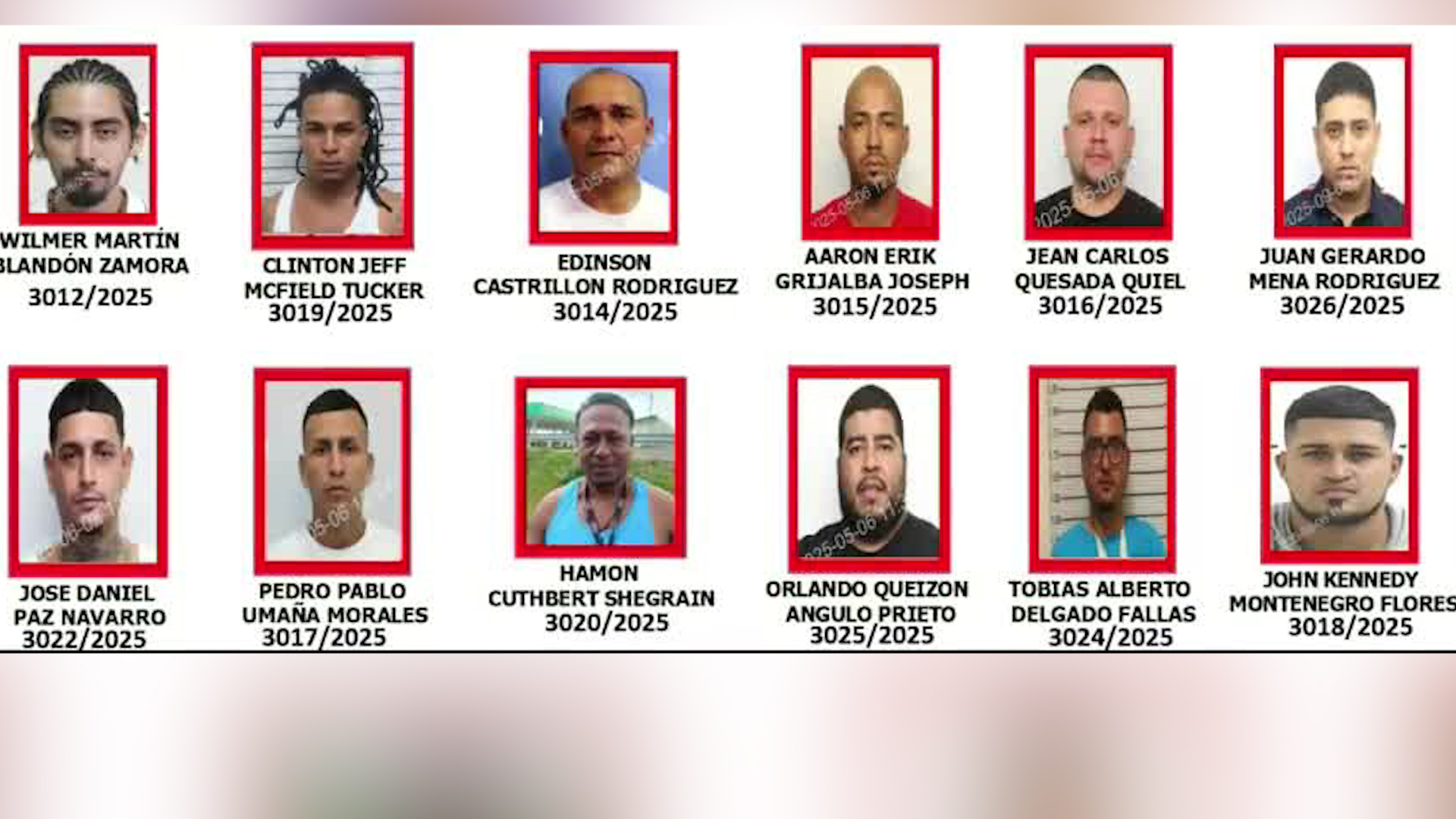 12 prófugos del cártel Caribe Sur