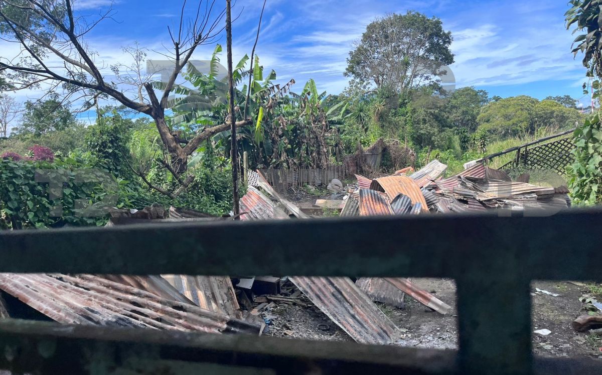 El incendio fue dentro de una finca cafetalera. (Telediario)