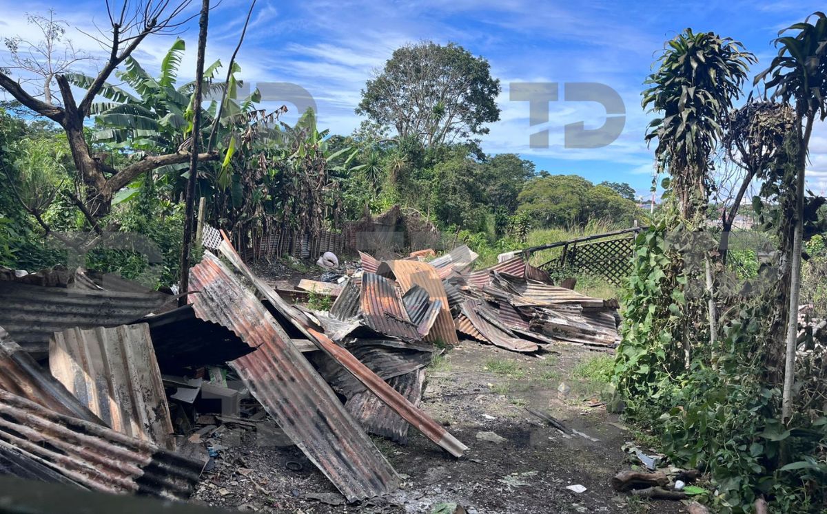 OIJ investiga el caso. (Telediario)