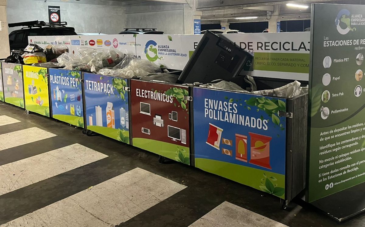 El proyecto fortalece la educación ambiental intergeneracional (Alianza Empresarial).