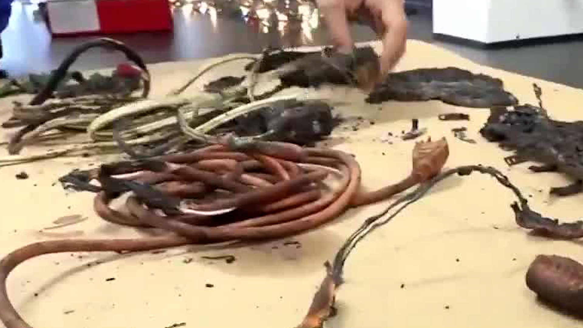 Adornos navideños pueden causar accidentes