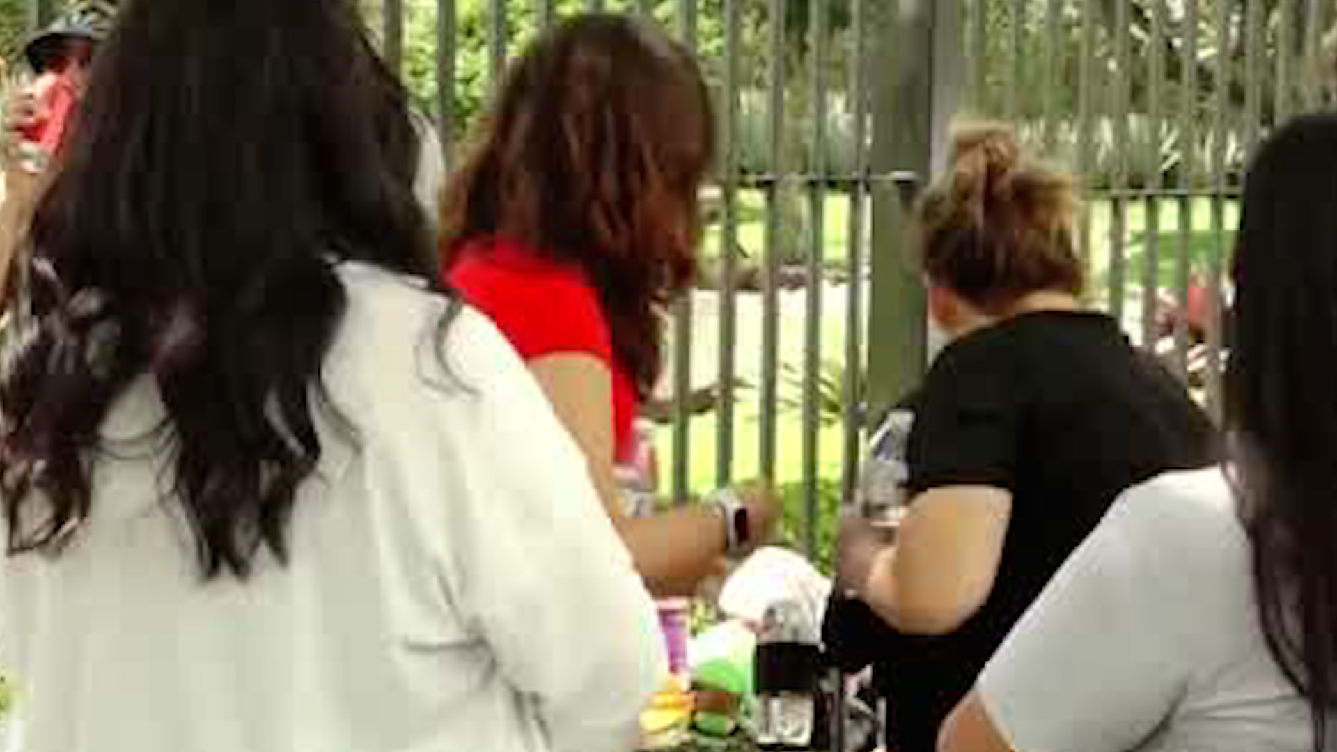 Contraloría aprueba fondos de licencias de cuido