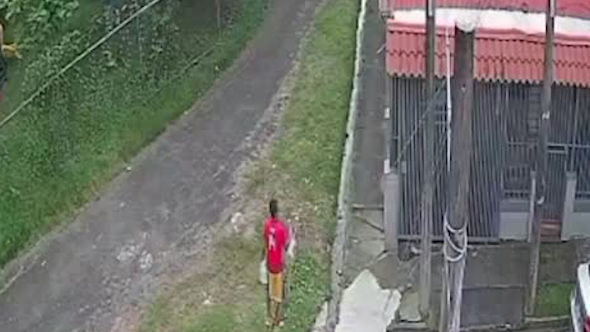 Sujeto cuelga heces de su perro en cercas de vecinos de Desamparados