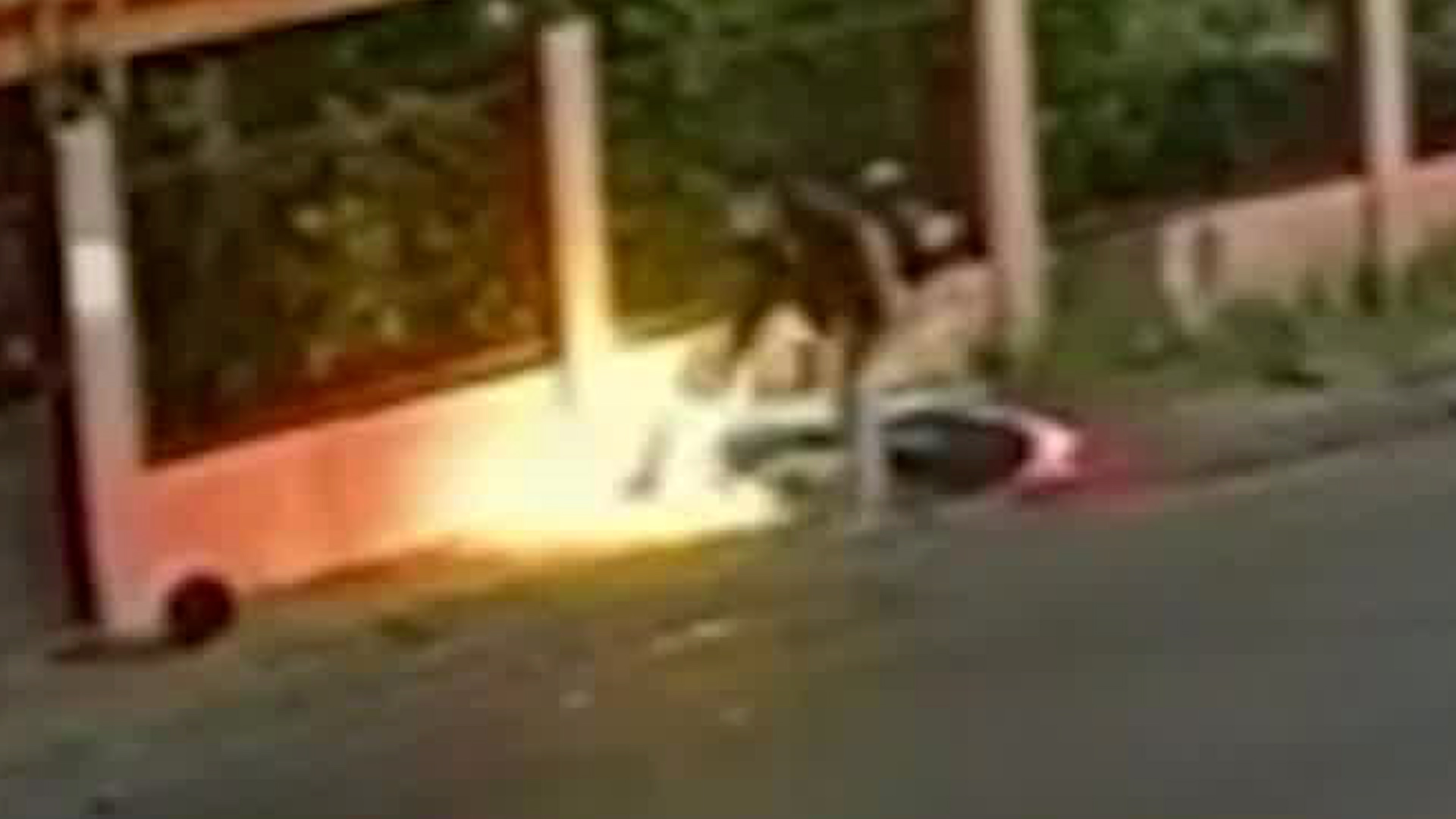 Motociclista pierde el control y colisiona contra vivienda | VIDEO