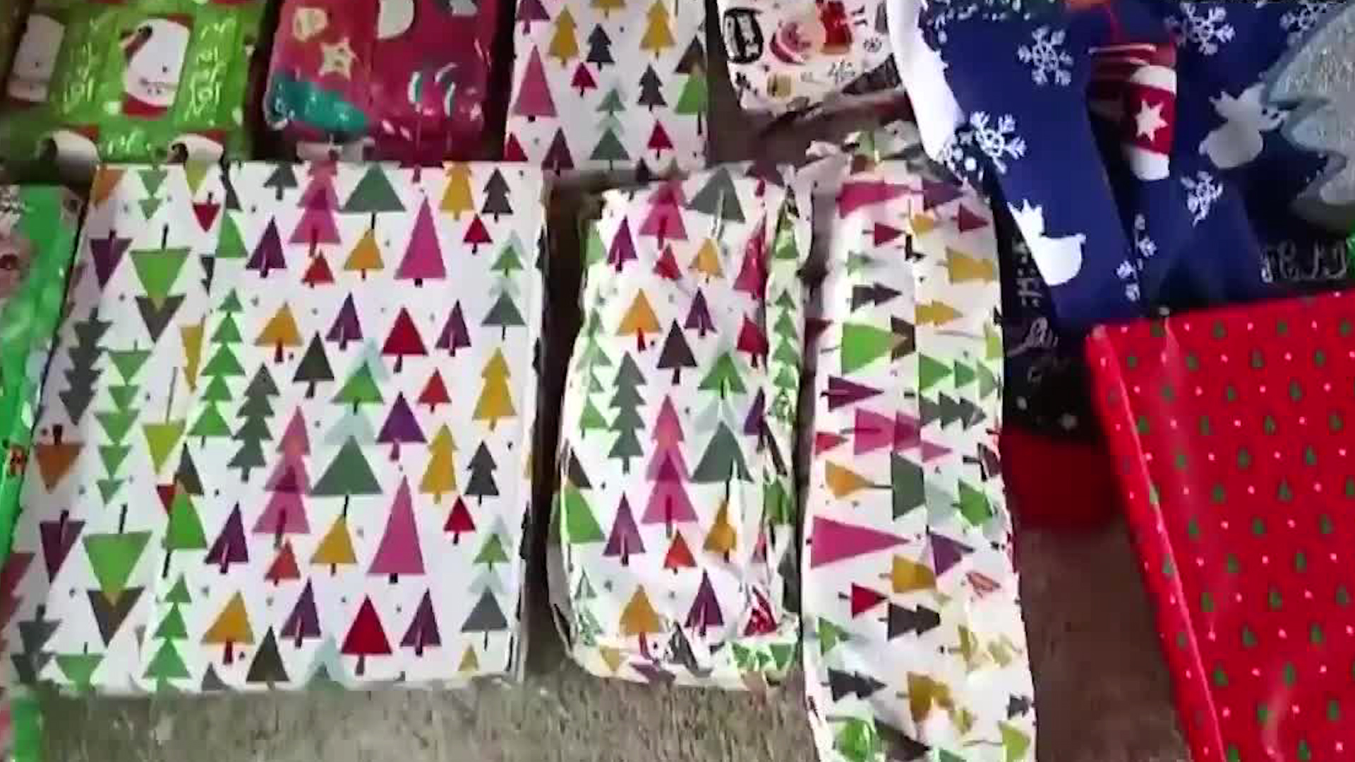 ¡Llego Pro Sonrisas a Coto Brus!