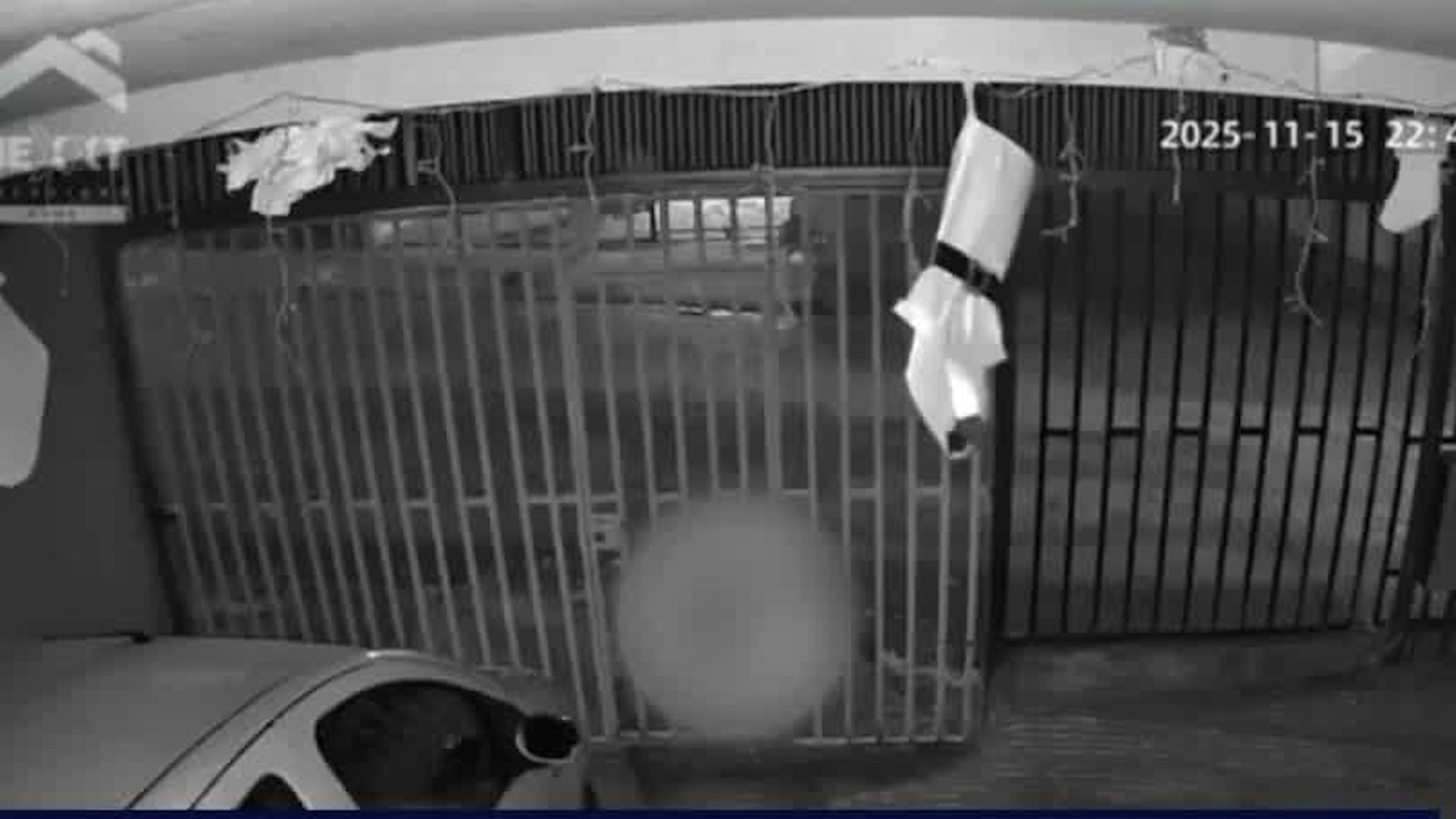 Balaceras se multiplican en Cartago