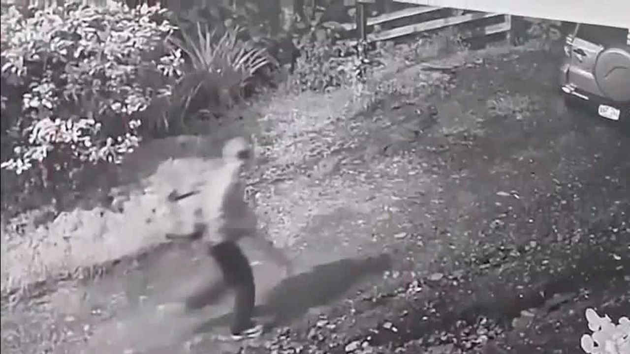 Buscan a peón para investigación sobre el doble homicidio en Alajuelita