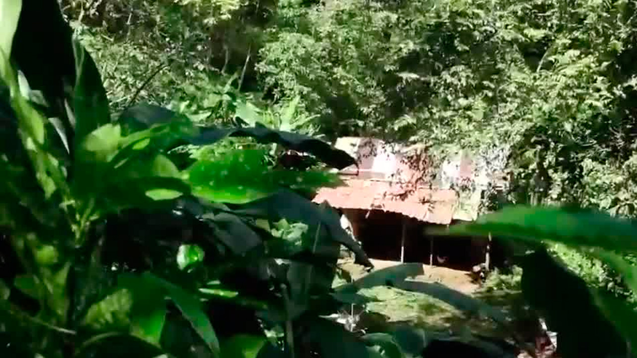 Hallan a joven desnuda y en estado crítico