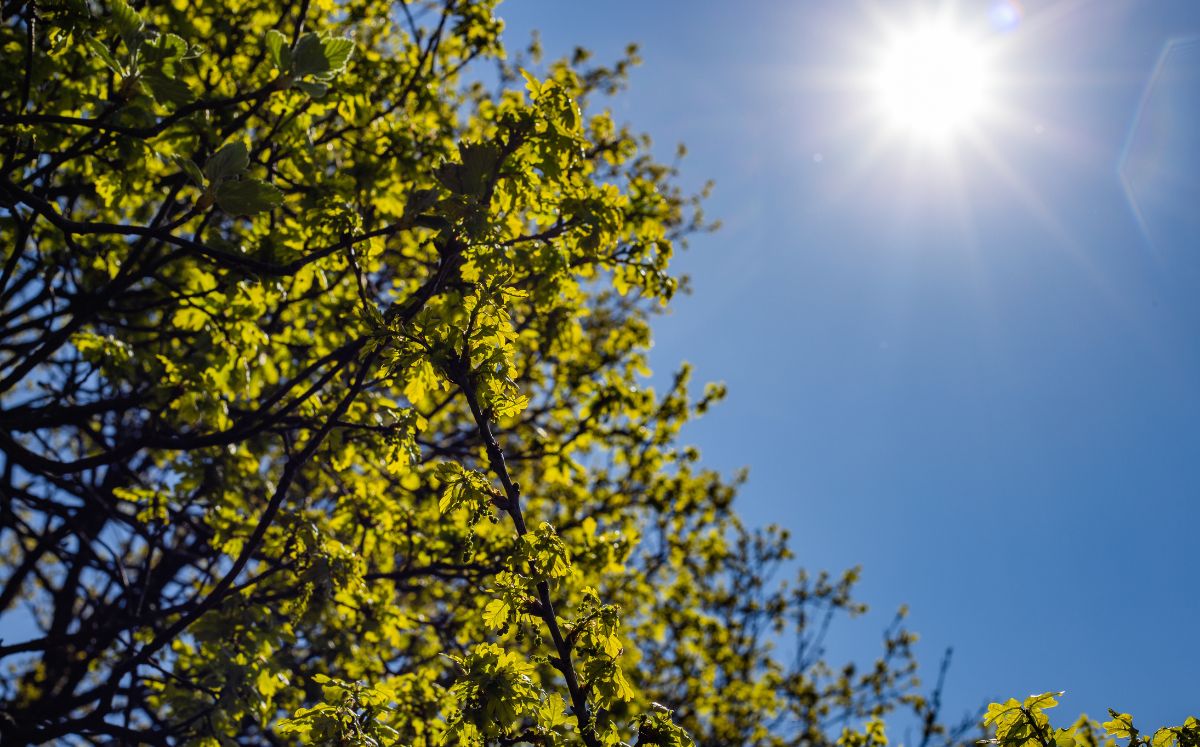 El clima de hoy trae variaciones a lo largo del día, con momentos de sol y algunas nubes pasajeras (Freepik).