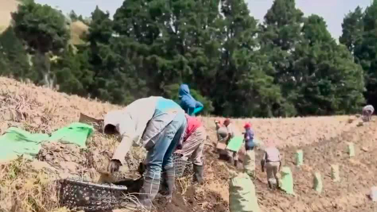 Costa Rica tiene 0% de aranceles en sus productos hacia EE. UU