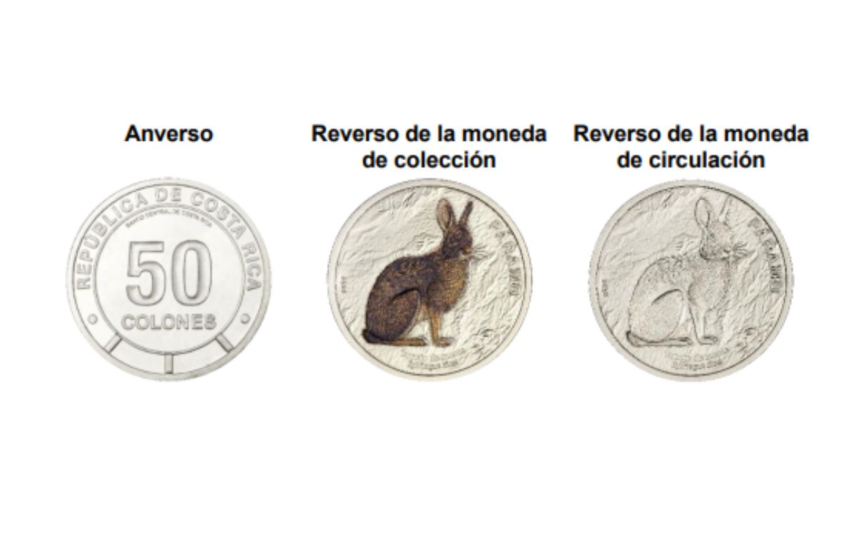 Moneda de 50 colones de circulación y colección. (BCCR)