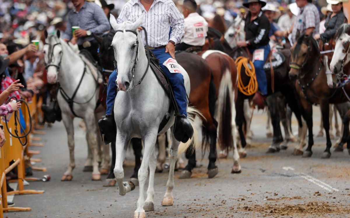 La organización confirmó la cancelación del Desfile de Caballistas 2025 (UCR).