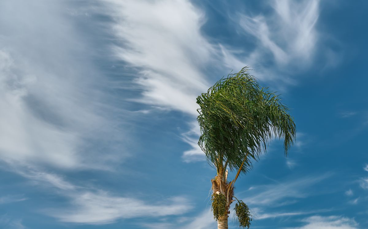 Empuje frío #4 generará ráfagas y lluvias aisladas este jueves en varias regiones del país. (Freepik)