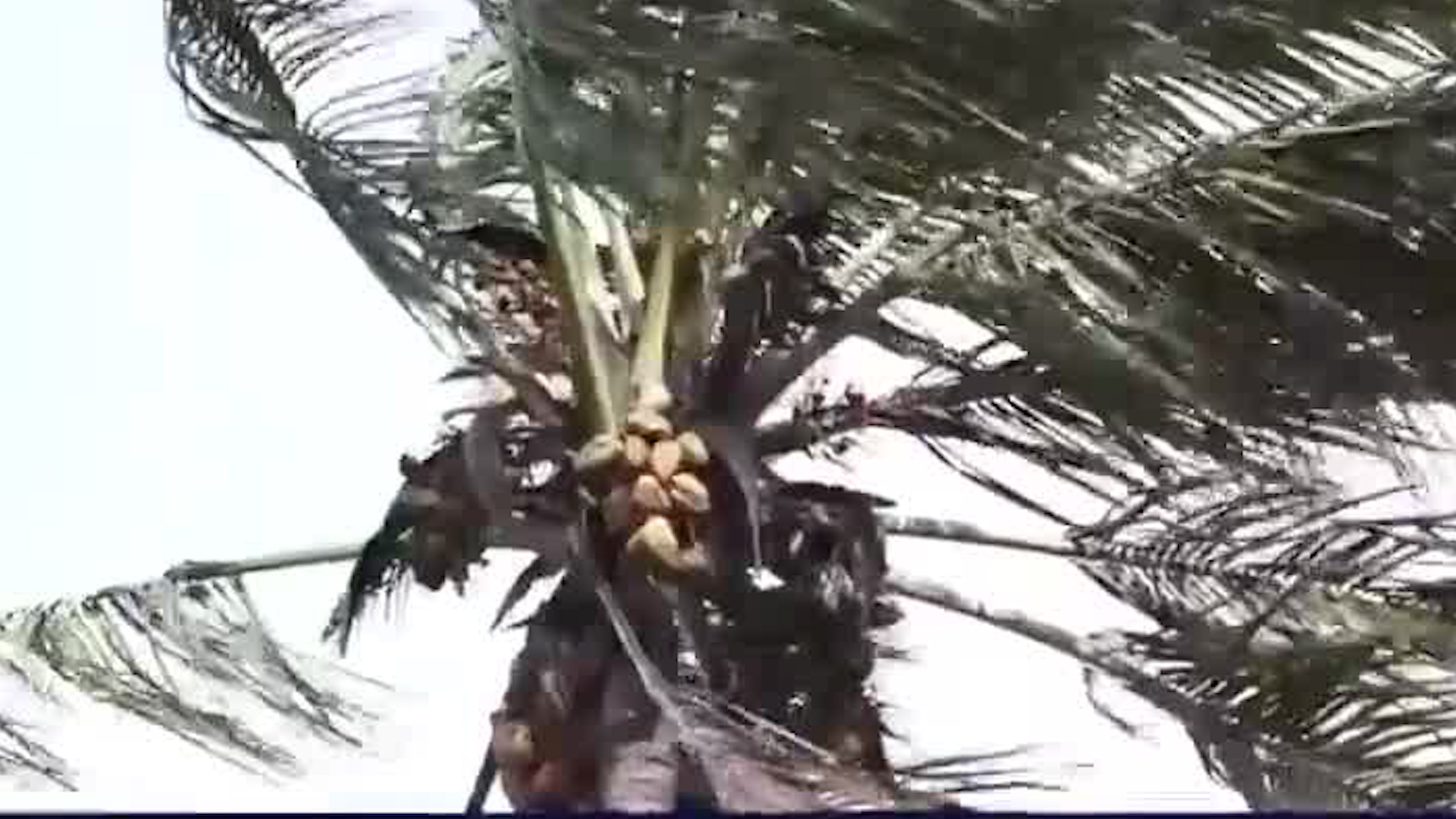 Fuertes vientos azotan el país