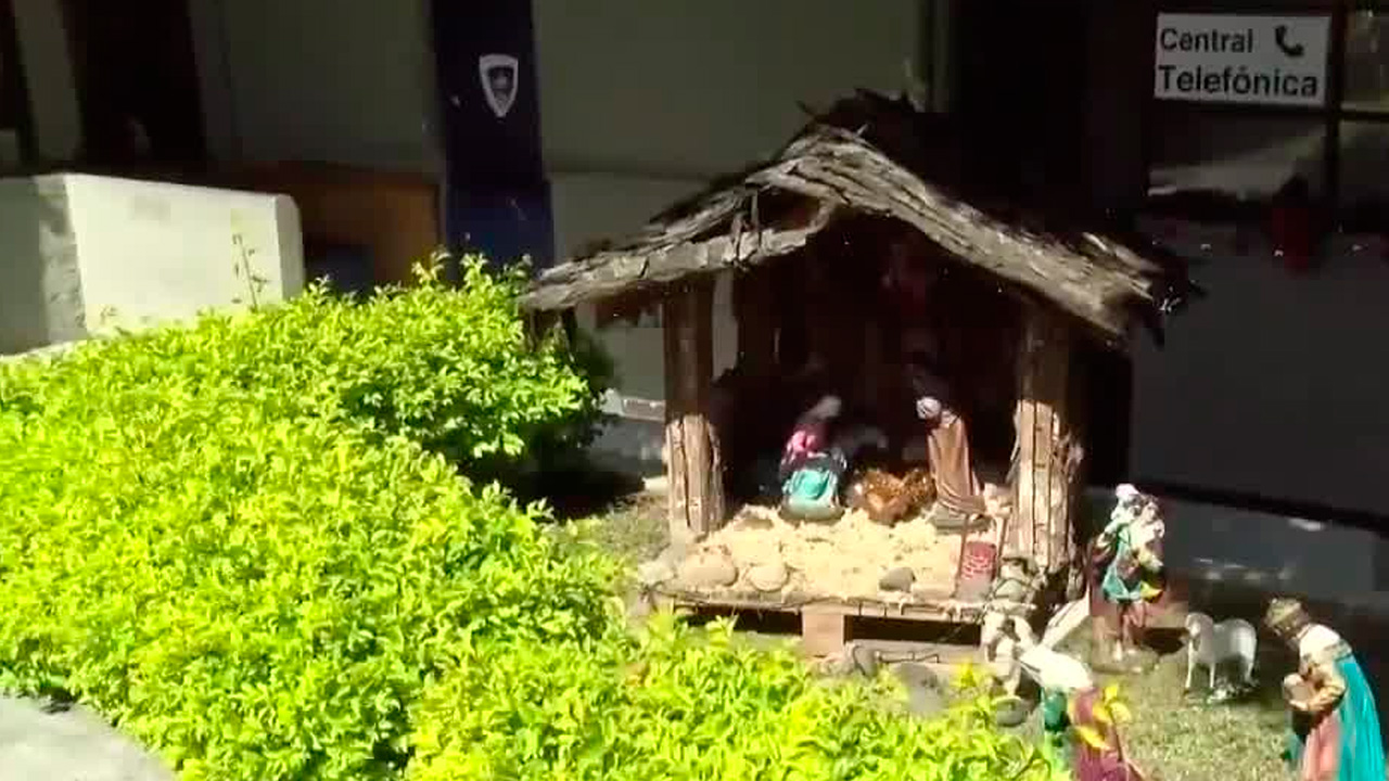 Minae advierte sobre uso inadecuado de lana decorativa