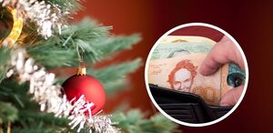 El empleador que incumpla este pago se expone a una multa. (Freepik)