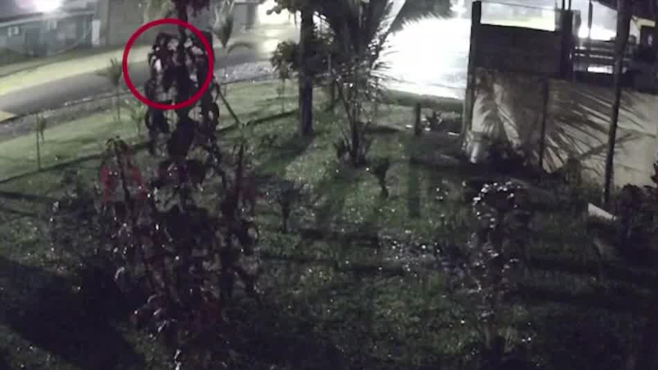 La delgada línea entre el descuido y negligencia