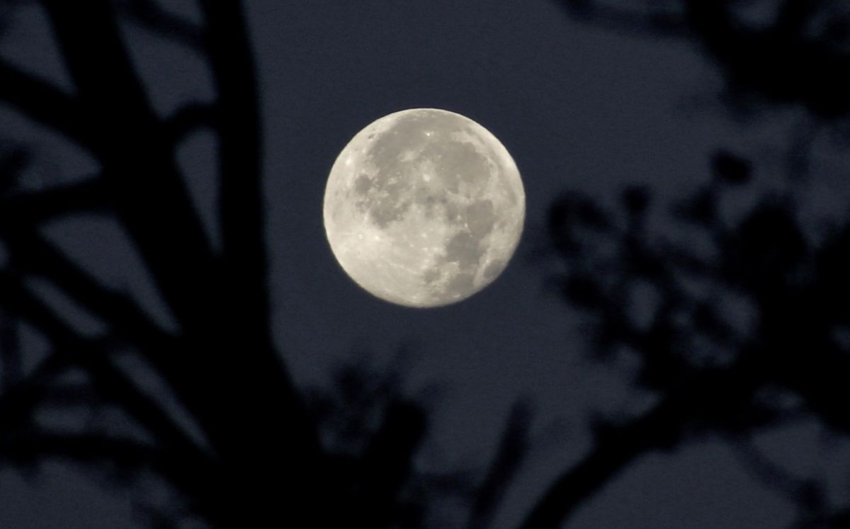 La próxima superluna será dentro de un año. (NASA)