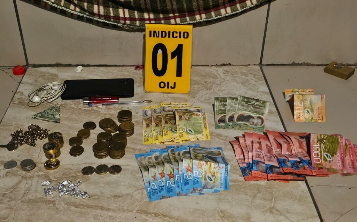 Agentes judiciales decomisaron evidencia para la investigación. (OIJ)