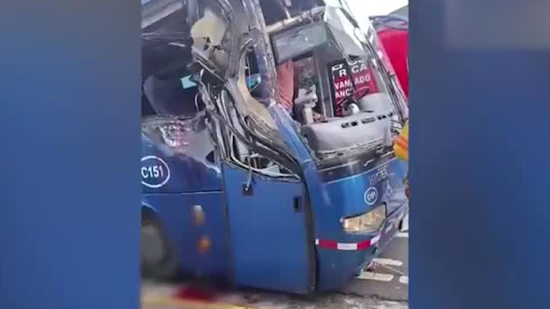 Ramas de árboles en carretera ponen en riesgos a los ciudadanos