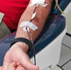 Campaña de donación de sangre llega a Heredia; conoce cuáles son los requisitos