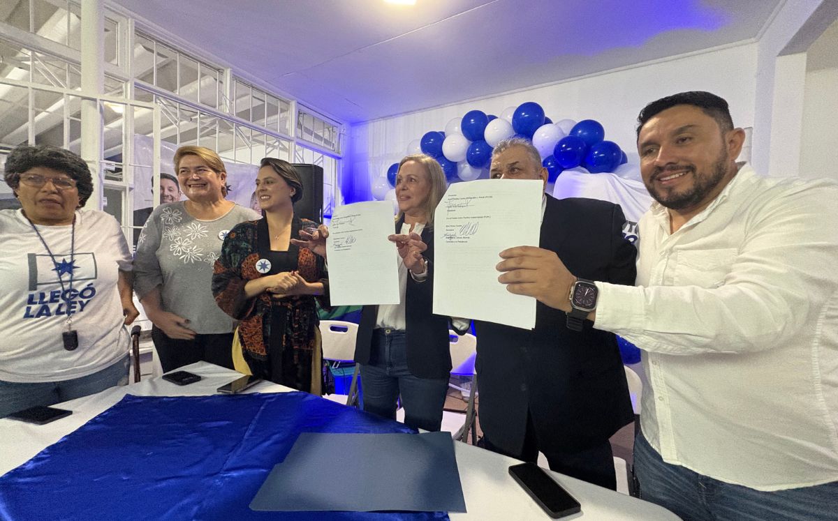 Llaman a más fuerzas democráticas a sumarse a la alternativa que prioriza al país (Centro Democrático y Social).