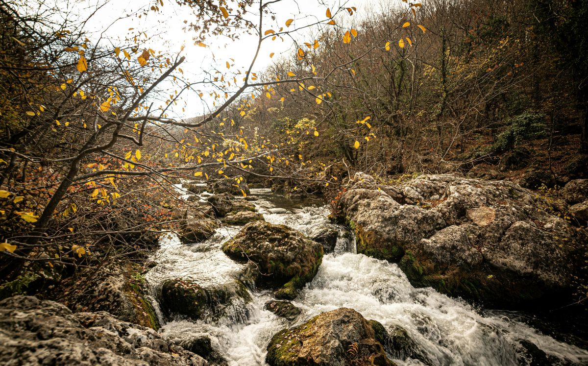 Equipos de rescate continúan labores.