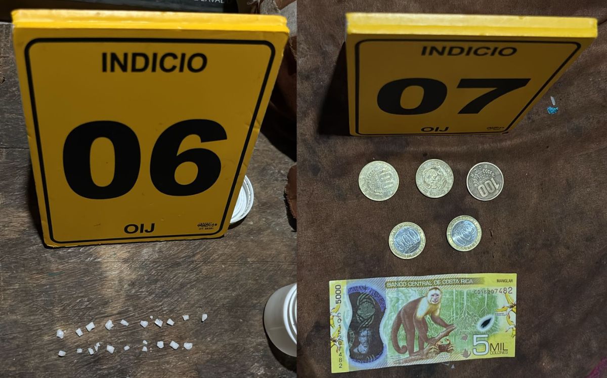 Evidencia decomisada. (OIJ)