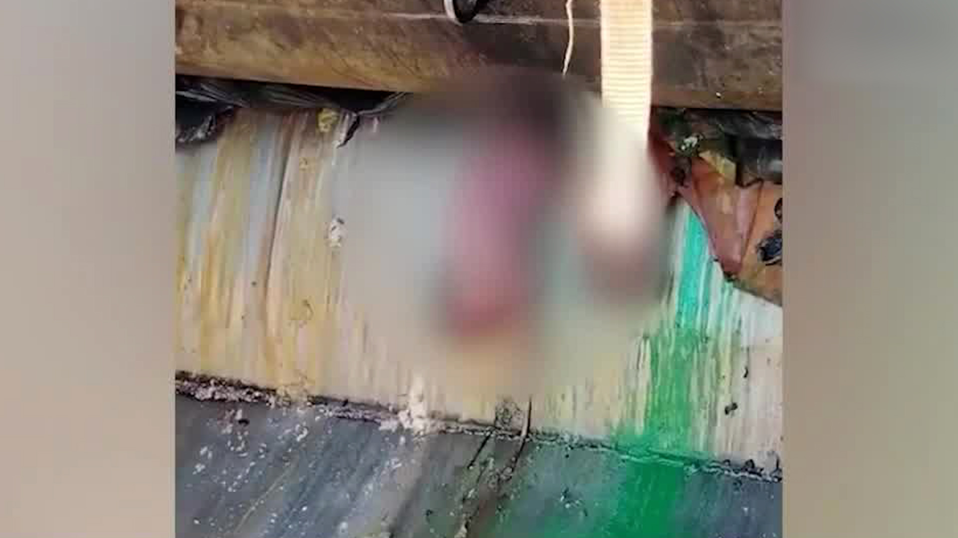 No hay detenidos por caso de bebé abandonado