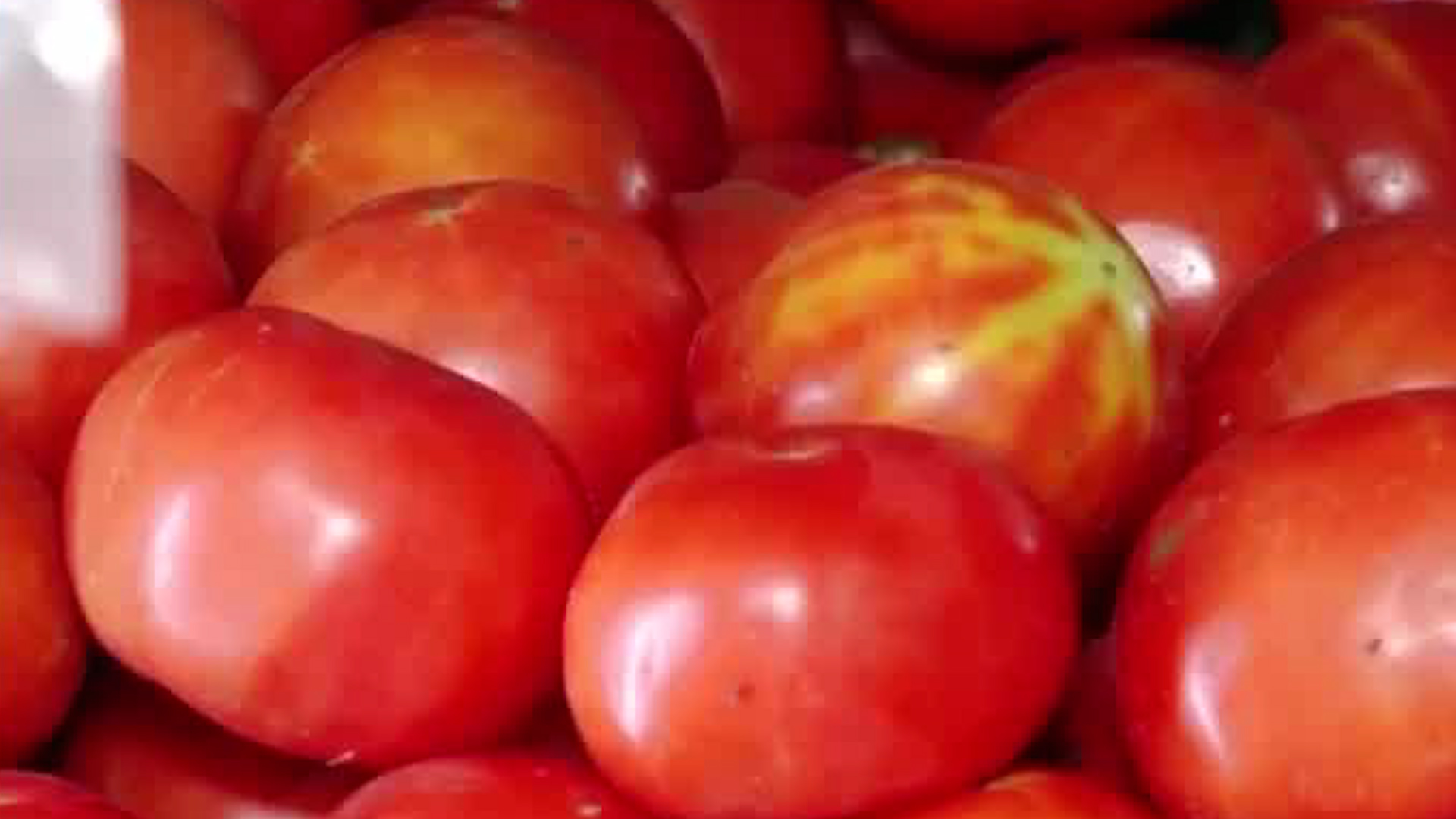 Tomate, papa y café entre los productos que más subieron de precio