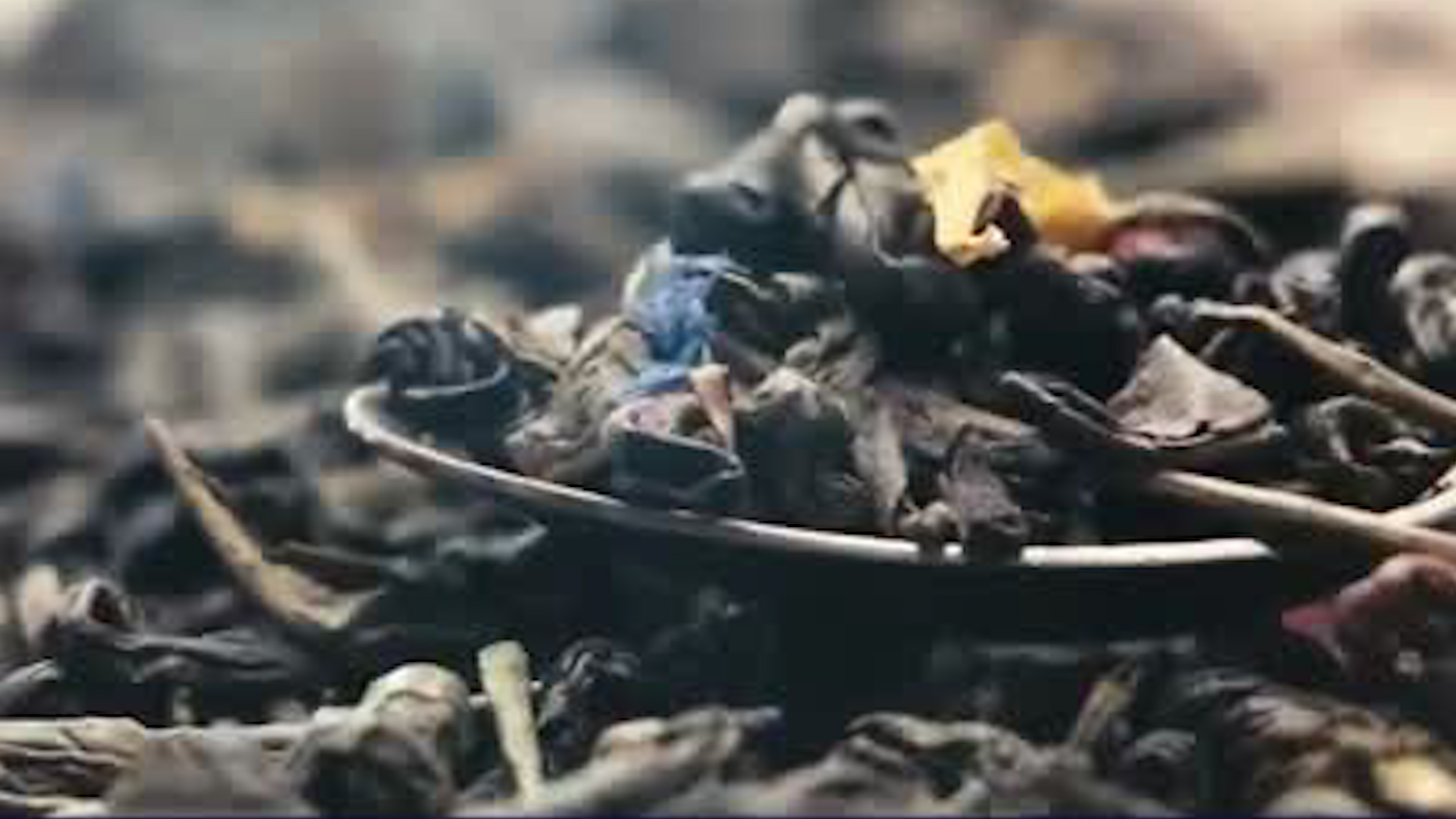 Planta medicinal se vuelve viral