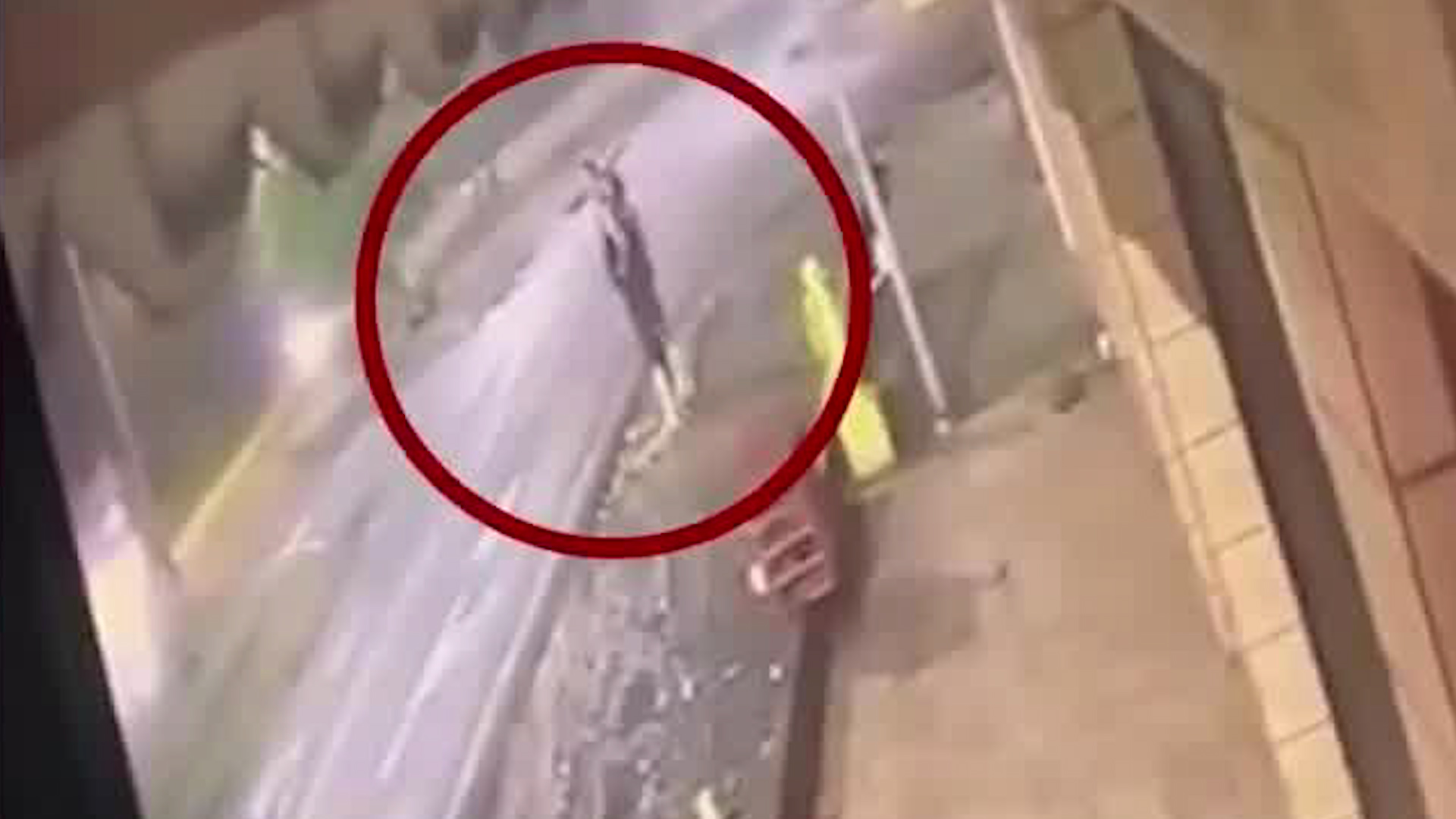 Cinco personas fallecieron por atropellos durante el fin de semana