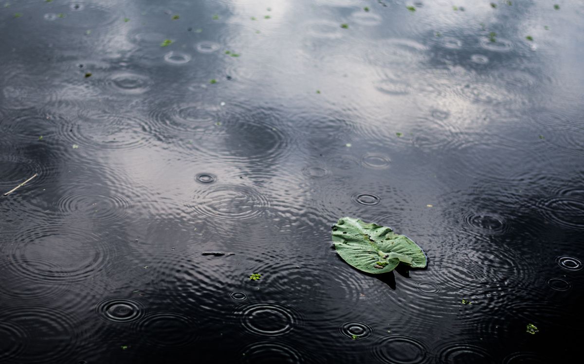 Empuje frío #6 mantendrá vientos acelerados y lluvias aisladas este lunes en el país. (Freepik)