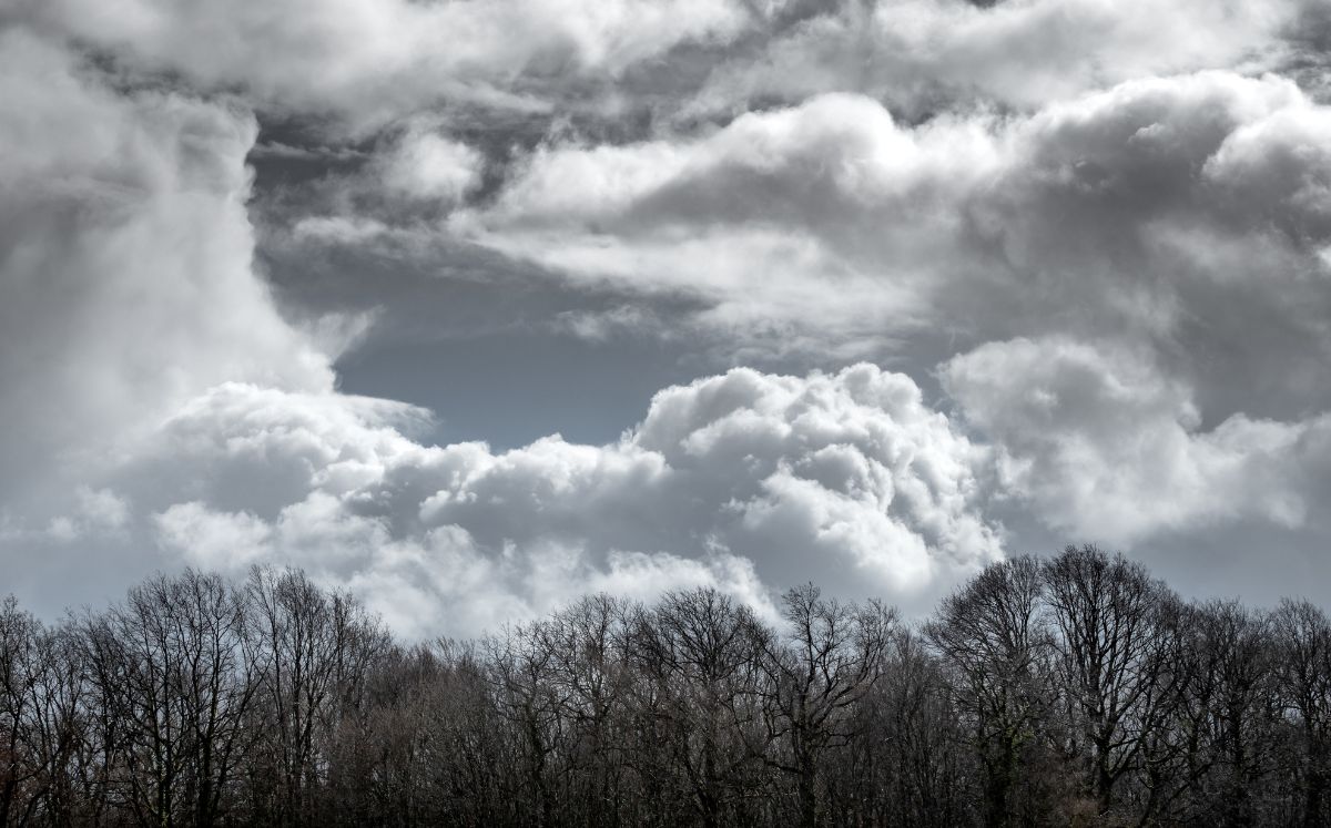 Empuje frío #6 mantendrá vientos fuertes y lluvias en varias regiones del país este martes. (Freepik)