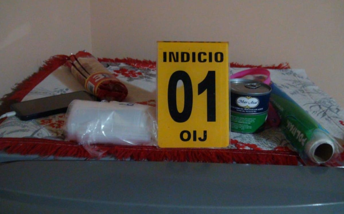 Evidencia decomisada por los agentes judiciales. (OIJ)