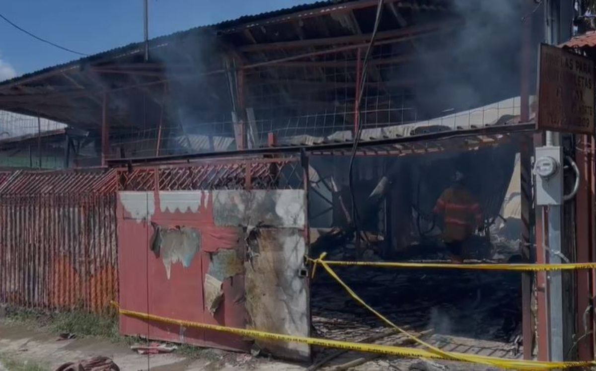 Videos muestran la magnitud del incendio.