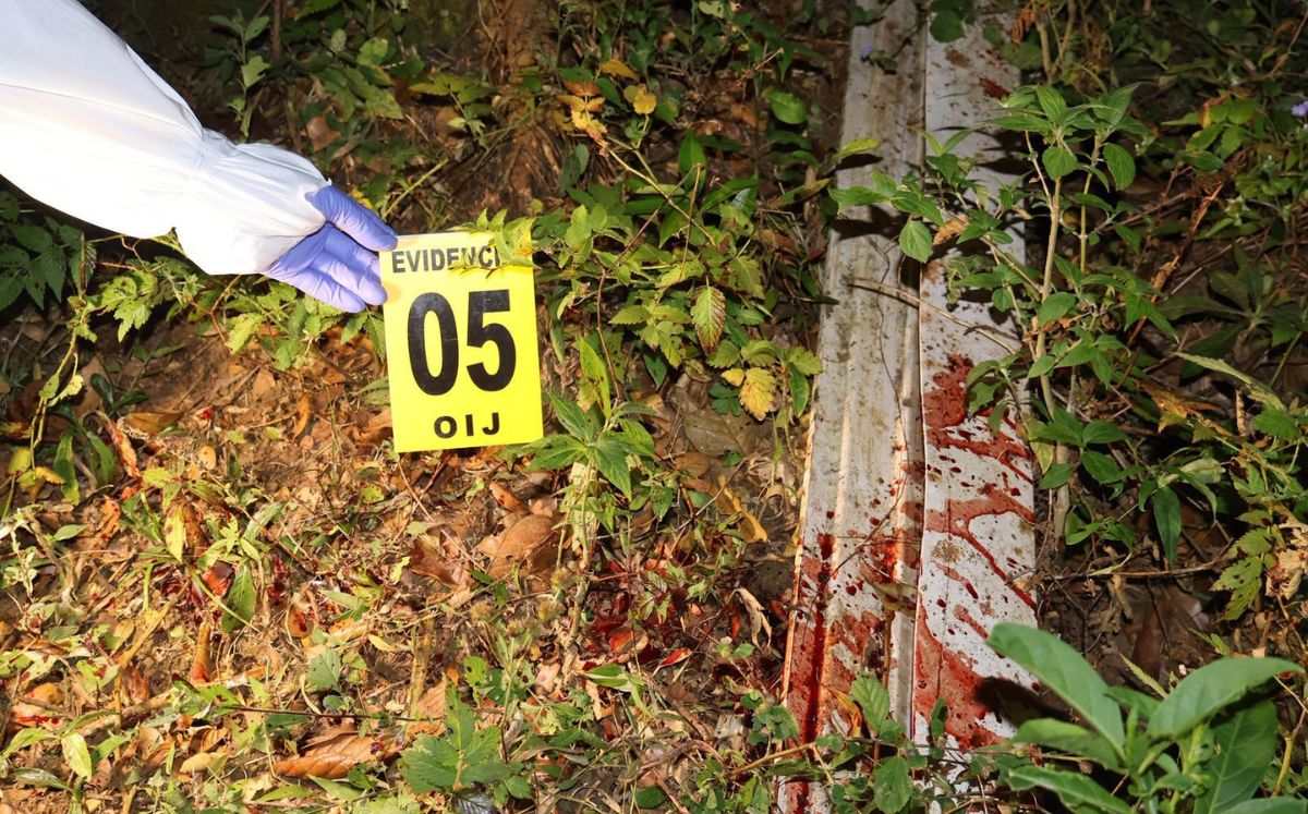 Información confidencial al 800-8000-645 o WhatsApp 8800-0645.