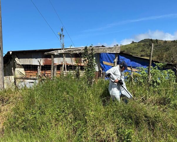 Información confidencial al 800-8000-645 o WhatsApp 8800-0645.