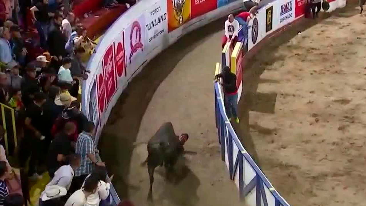 Toros Zapote 2025: Humor y retos en el redondel