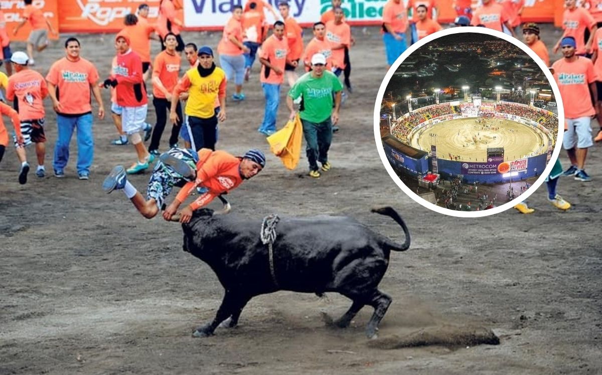 Se vivirán montas, juegos populares, caídas y mucho más en Zapote. (Fiestas de Zapote)