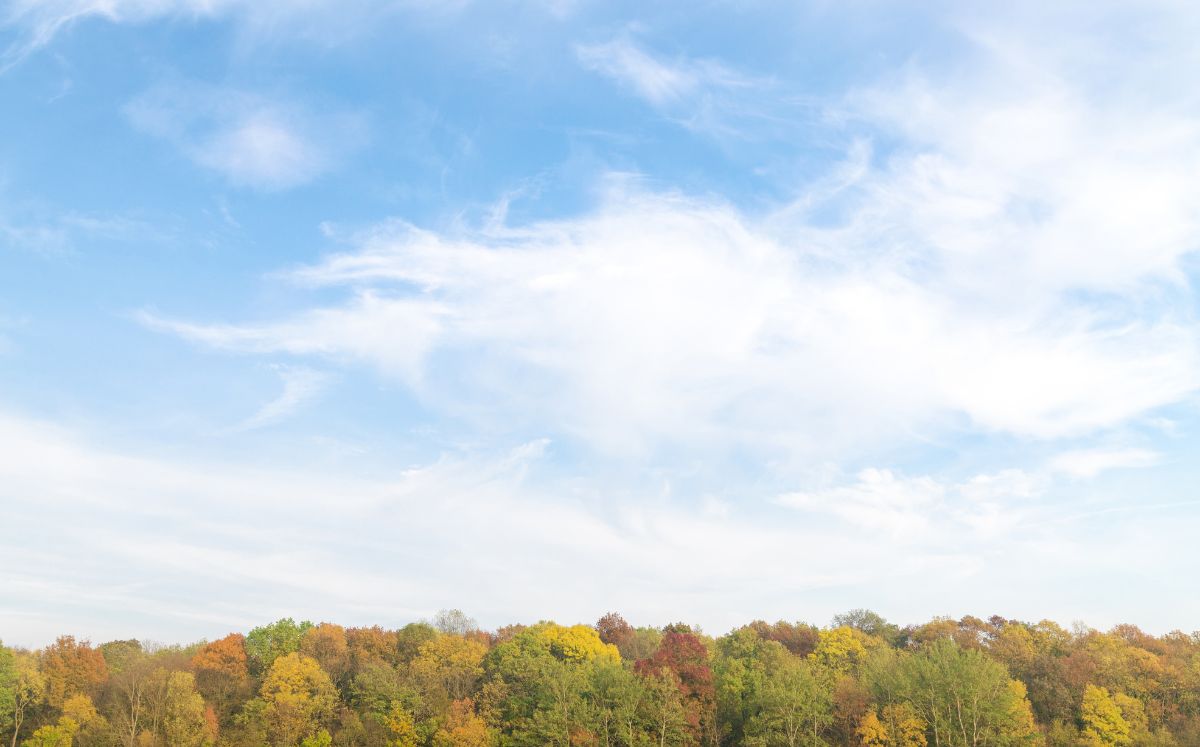 Así se será el clima HOY 21 de diciembre.