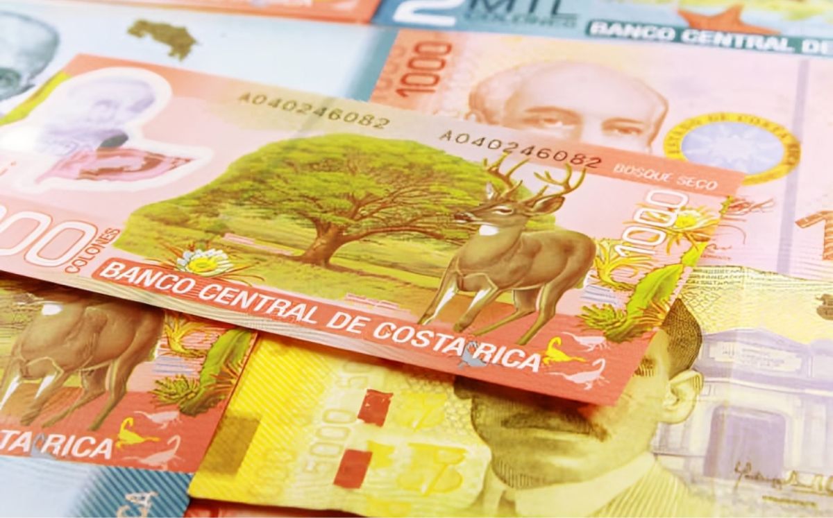 El aguinaldo es un derecho de toda persona trabajadora. (Freepik)