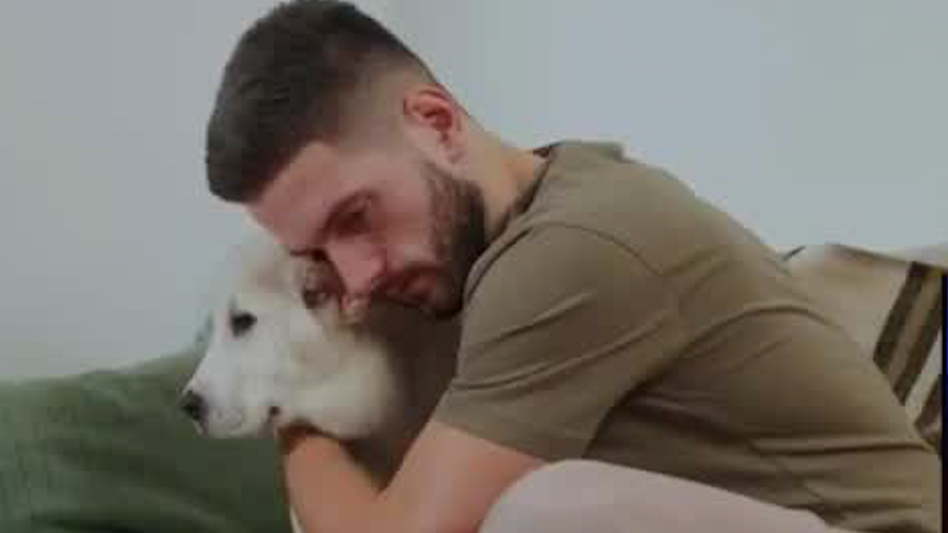 Pirotecnia afecta a nuestros amigos peludos