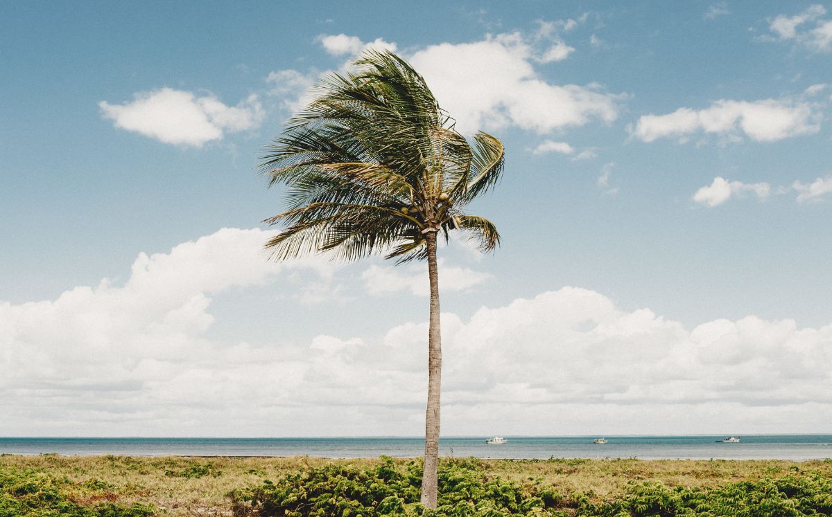 Vientos fuertes y condiciones estables marcarán el tiempo este martes en el país. (Freepik)