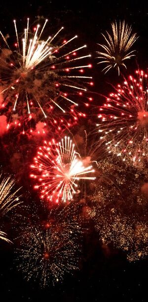 Aquí hay lugares para disfrutar el año.