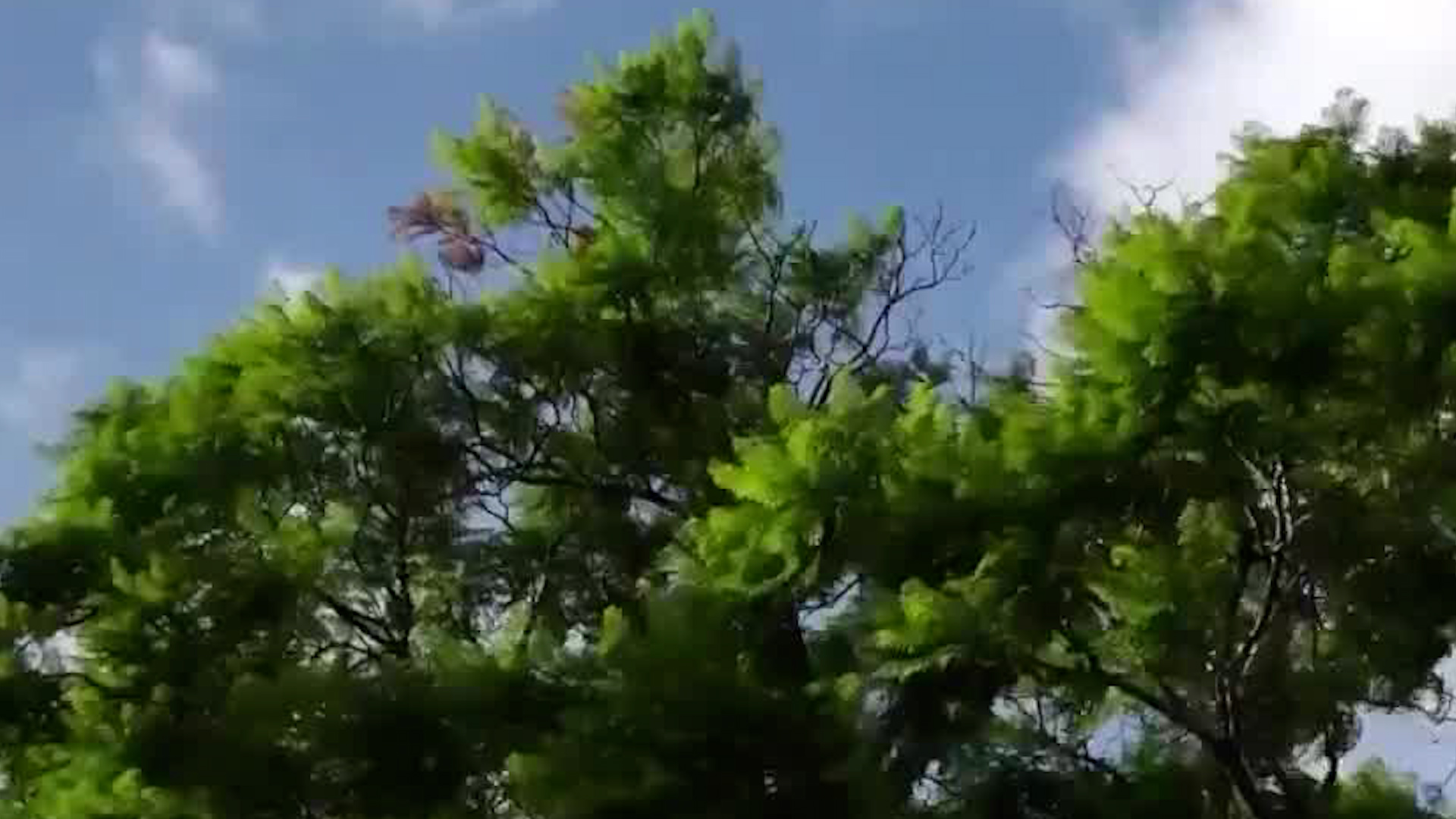 Empuje frío #8 afectará al país