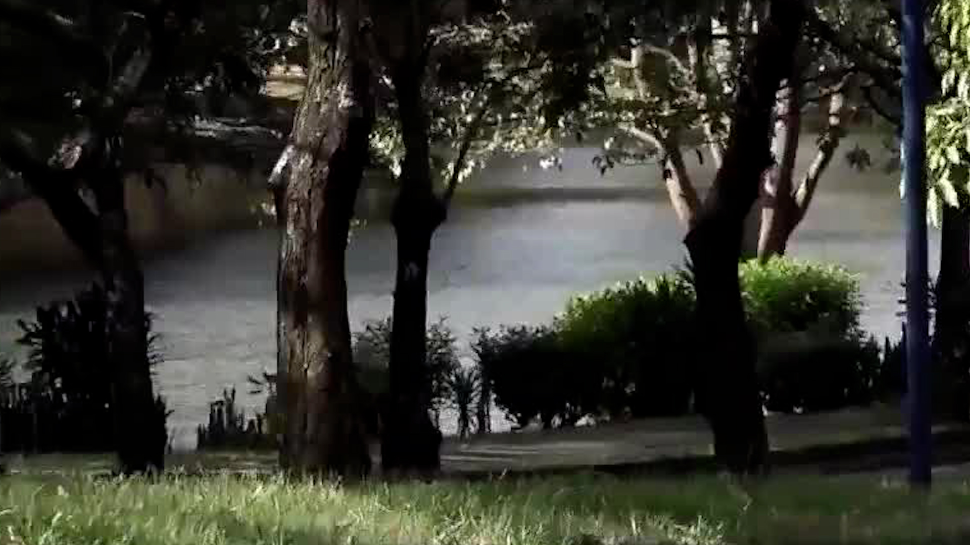 ¿Es necesaria más seguridad en el Parque de la Paz?