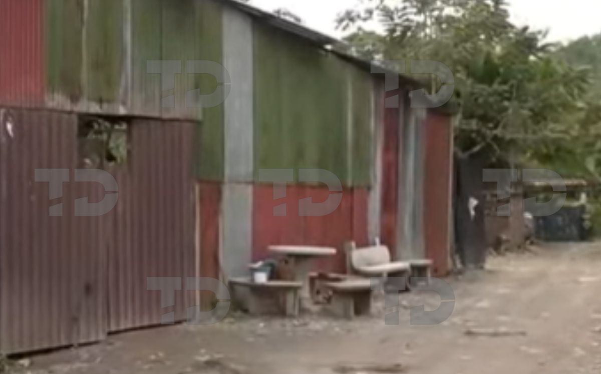 Agentes del Organismo de Investigación Judicial realizan las diligencias correspondientes. (Telediario)