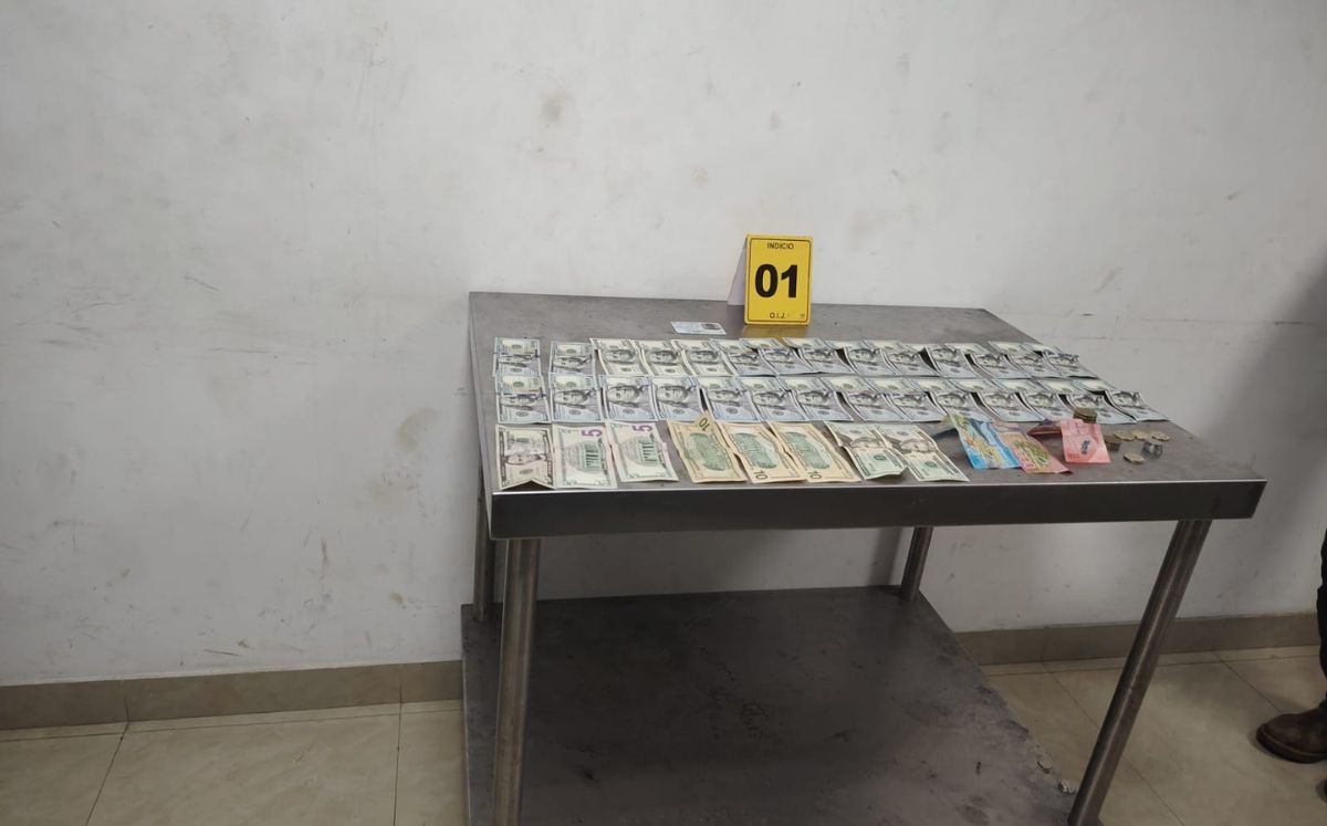 Dinero decomisado en Paso Canoas. (Fuerza Pública)